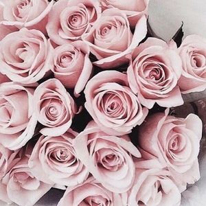 Meet your Posher, Jocelyn